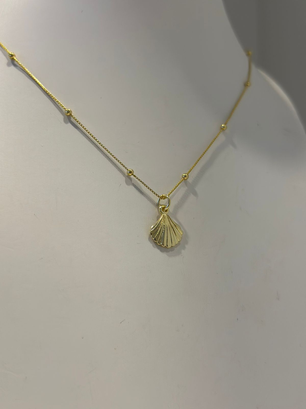 Collar Sea shell