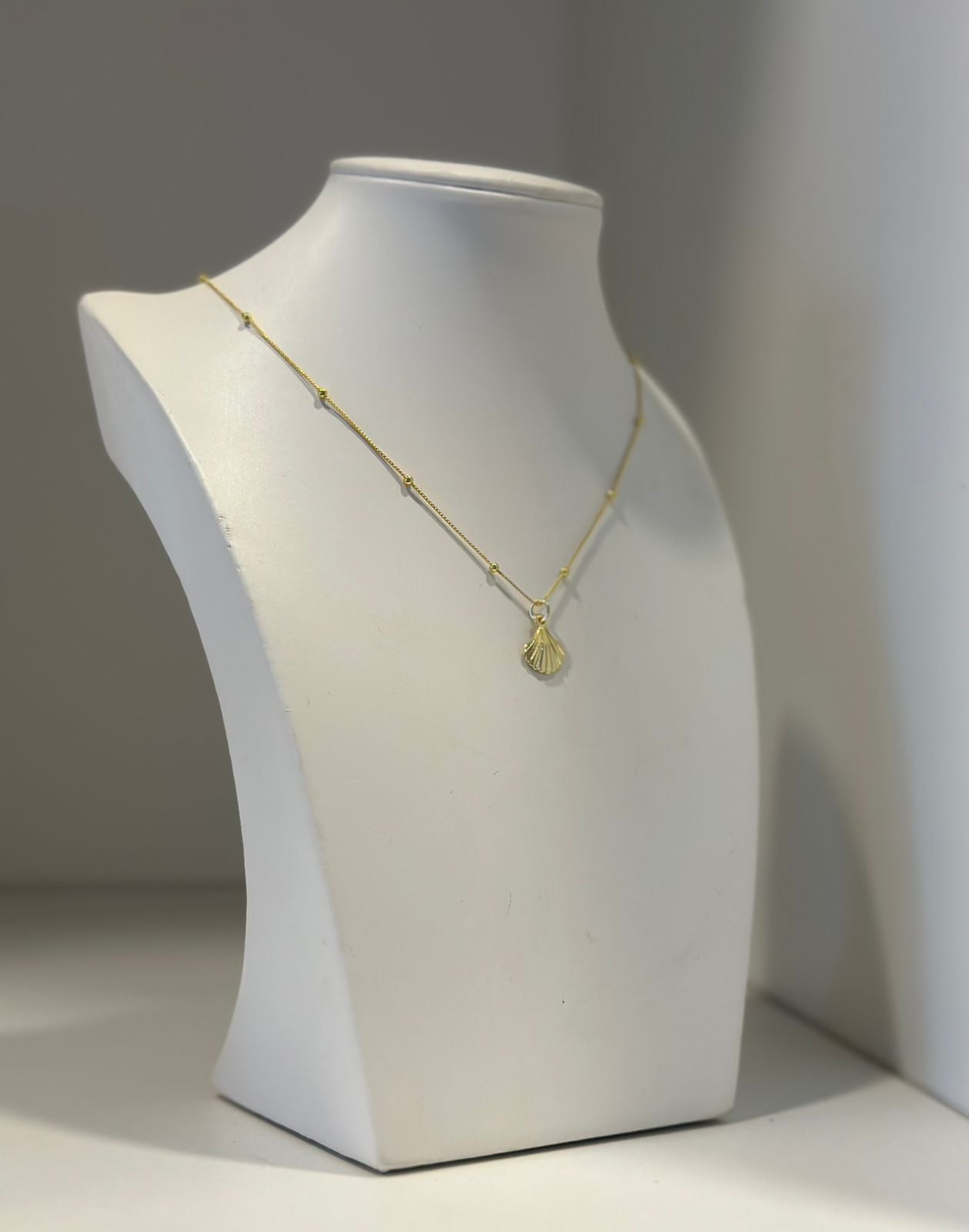Collar Sea shell
