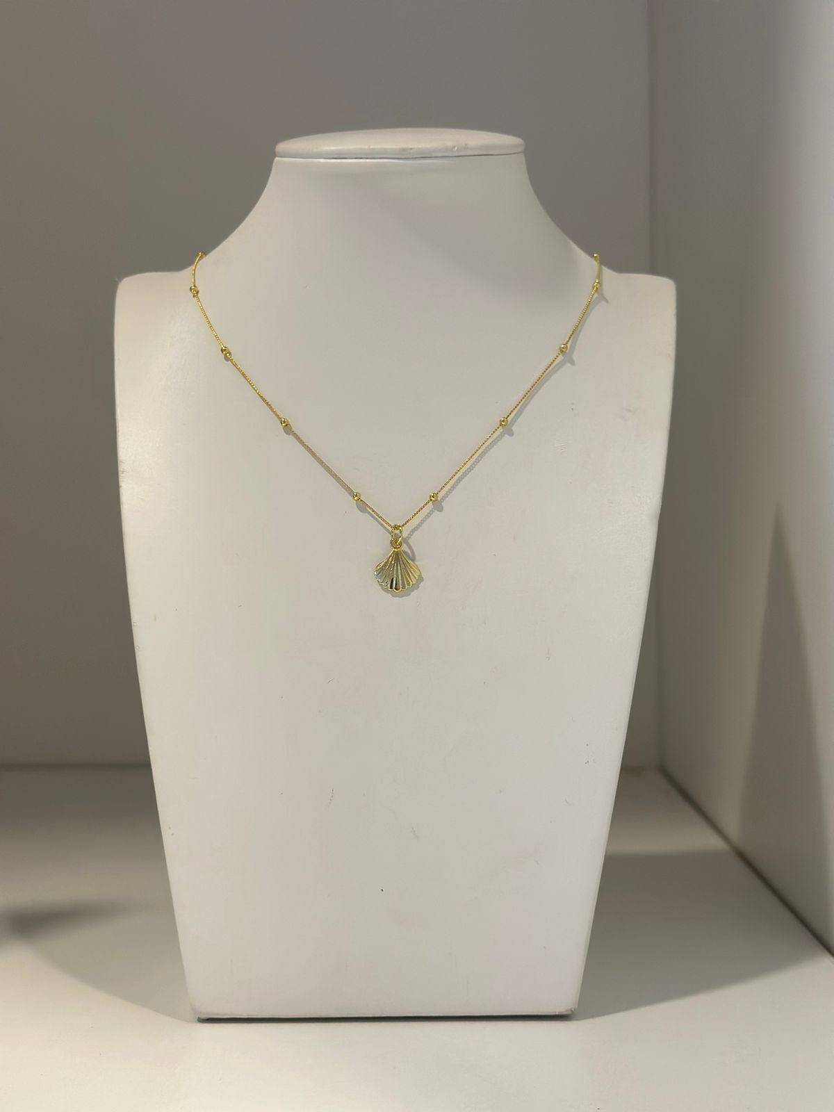 Collar Sea shell
